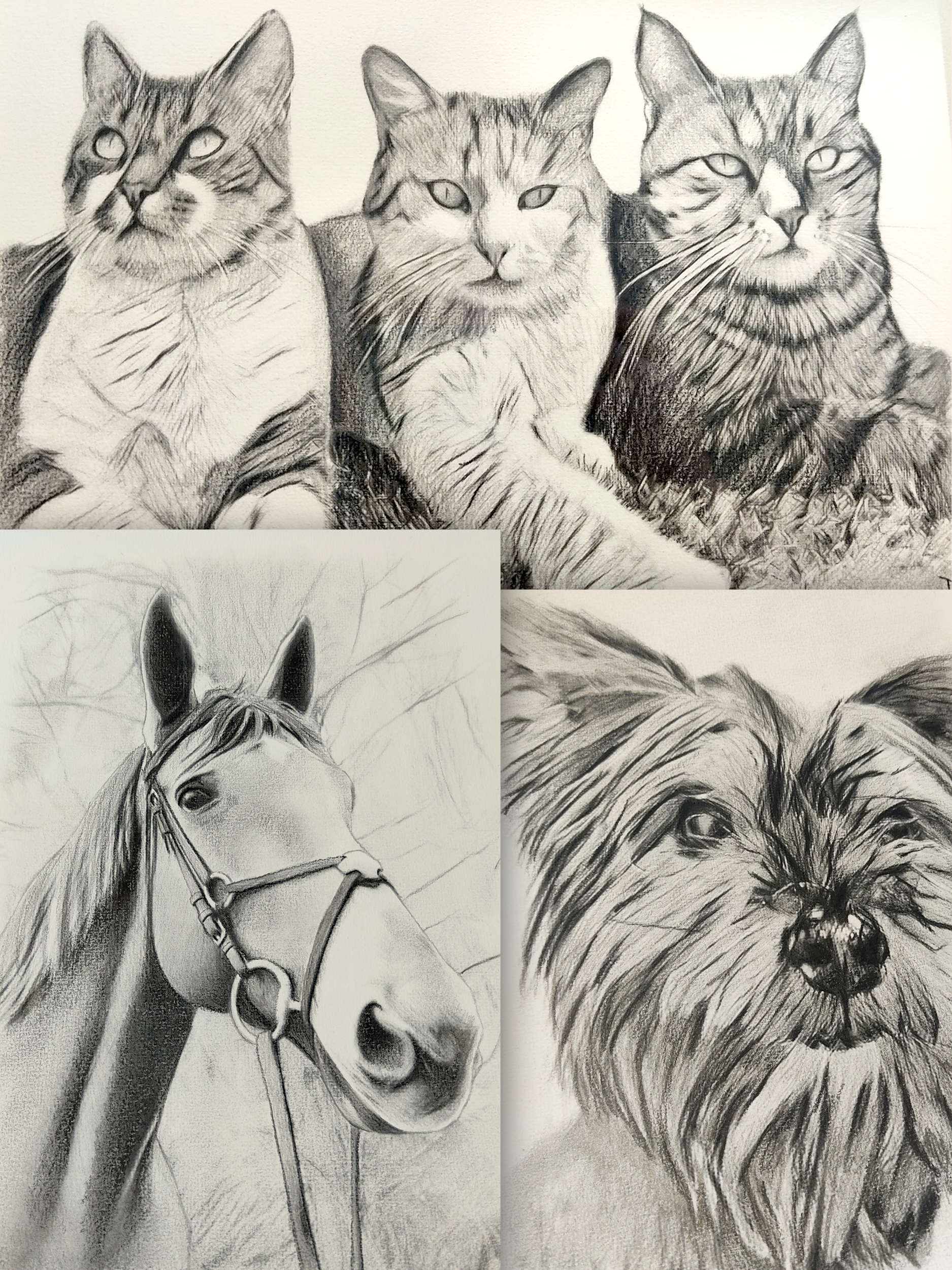 Portrait d'après photo personnalisé, version numérique ou papier - L'Atelier du bois 88